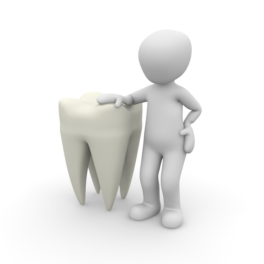 tooth-1015425_1920